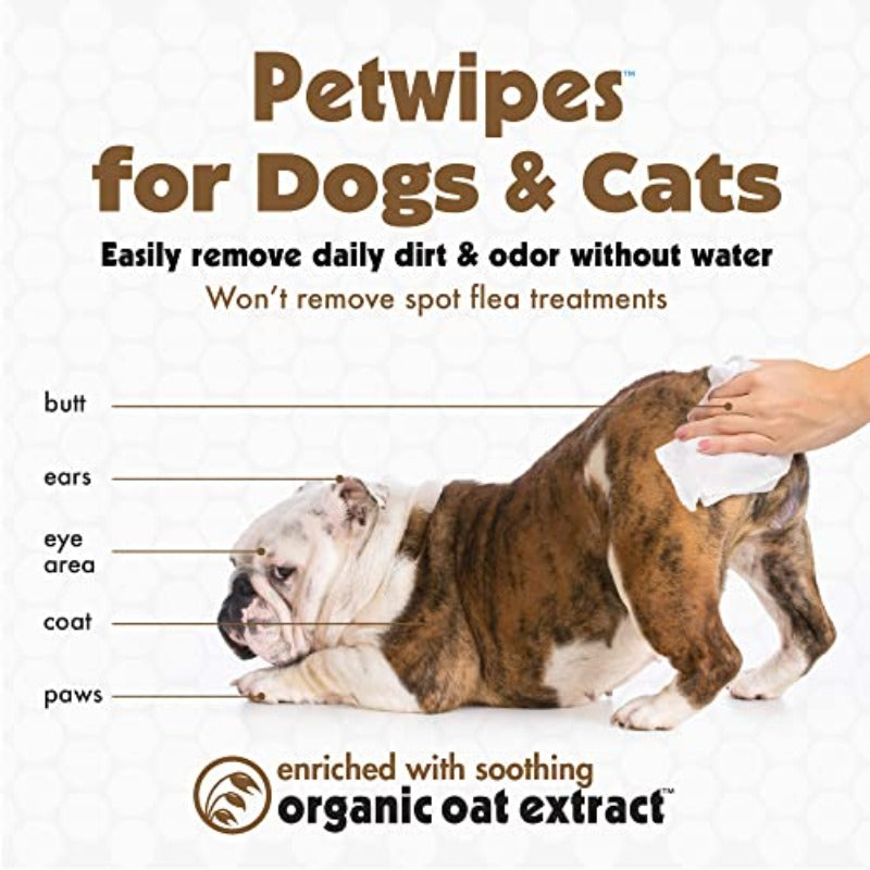 Pet Wipes for Dogs and Cats 200 Wipes Large Oatmeal Pet Wipes for Dogs and Cats Soothes Itchy Dry Skin and Cleans Ears Face Butt Body and Eye Area 2 Packs of 100 Wipes