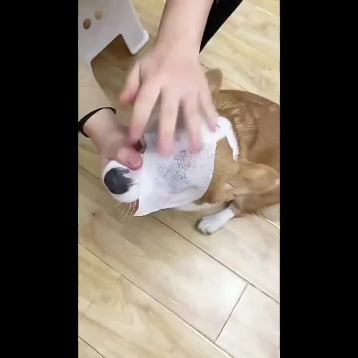 160pcs of pet wipes, disposable cleaning products for cats and dogs, no eye care paws, body and buttocks